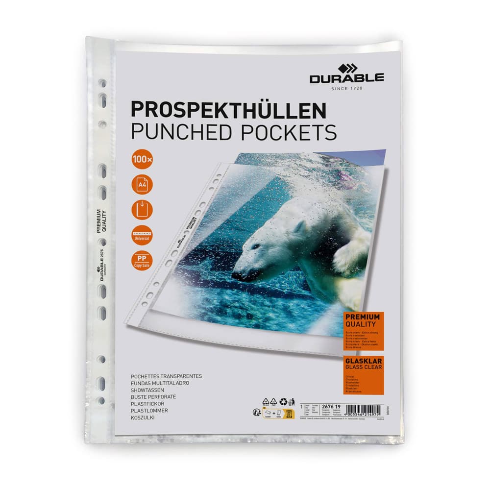 Bolsas Catálogo A4 080mic Durable 100un