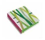 Capa A4 L/E 4 Argolas C/Rec+Ind Benetton UCB