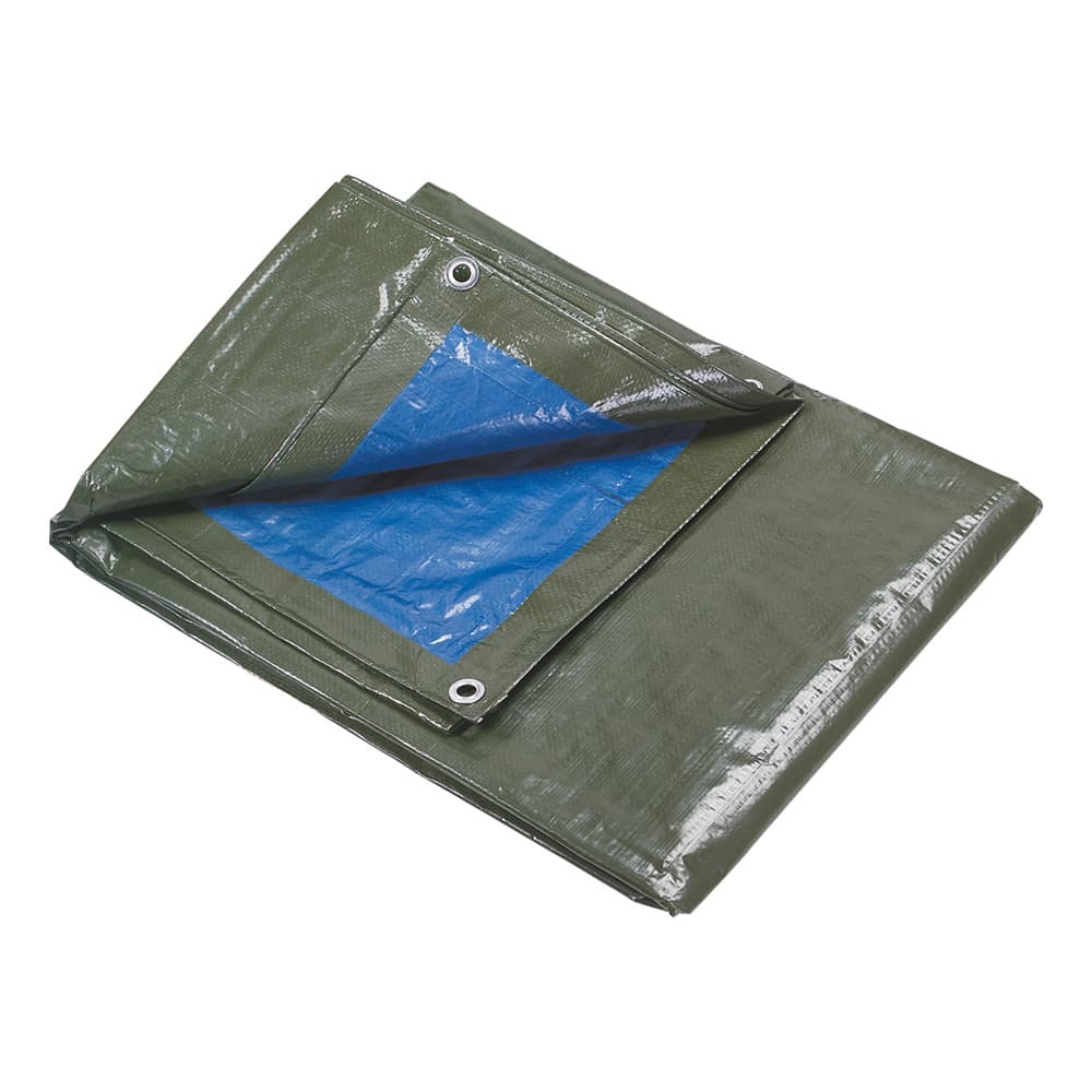 Lona Multiusos 4x5m Azul Royal e Verde