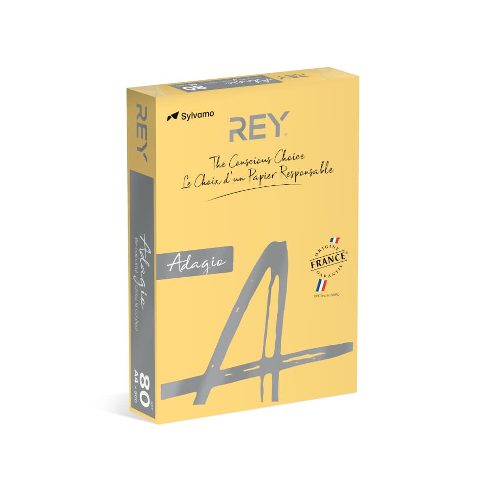 Papel Fotocopia Creme/Manteiga Adagio(cd02) A4 80gr  1x500F