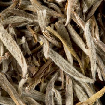 Chá Branco a Granel Jasmin Yin Zhen 500g