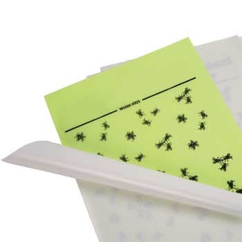 Recarga Adesiva Lamina de Insectos para Exterminador 4x6un